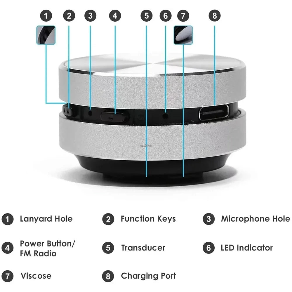 Hot Hummingbird Bone Conduction Speaker With FM Radio Bluetooth-Compatible TWS Wireless Stereo Dual Sound Audio Box Mini Speaker